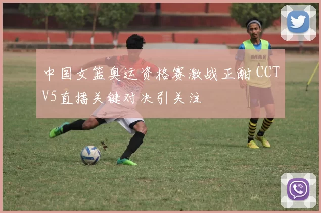 中国女篮奥运资格赛激战正酣 CCTV5直播关键对决引关注