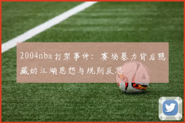 2004nba打架事件：赛场暴力背后隐藏的江湖恩怨与规则反思