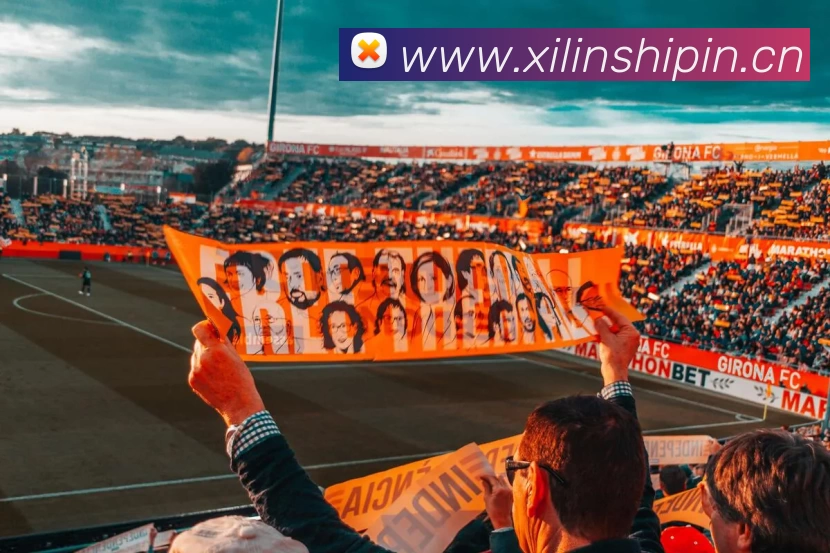 多媒体互动体验